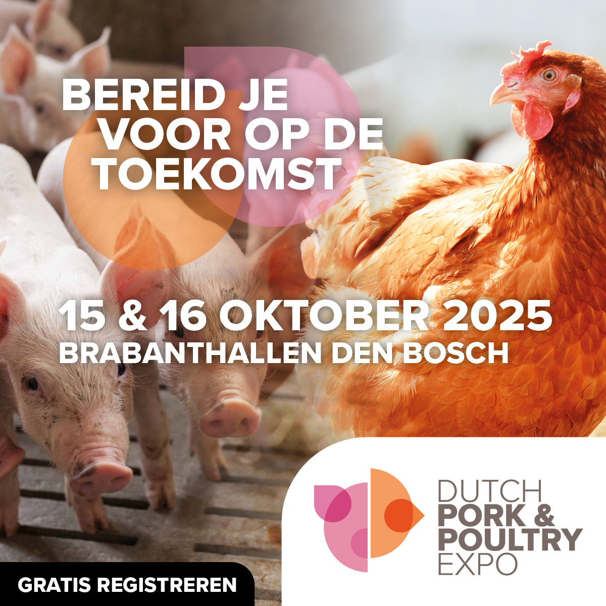 Dutch Pork & Poultry Expo 2025 - Bezoek Inno+